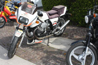 IMG 0017