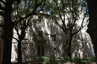 IMG 0019