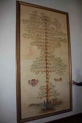 IMG 0031