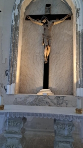 IMG 0008