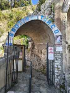 IMG 0018