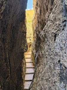 IMG 0020