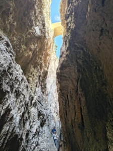 IMG 0029